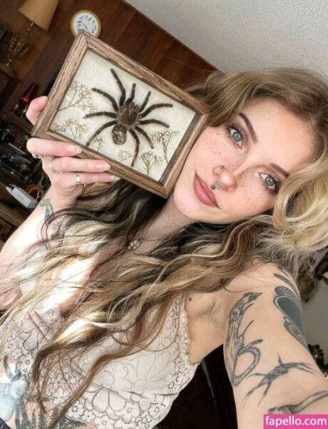 Mushbugs nette pornostar fotos