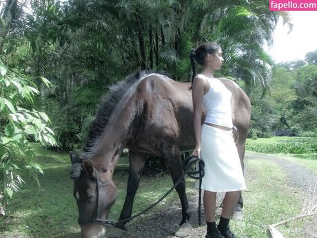 hase kostenlos nur fans schöne nette archiv