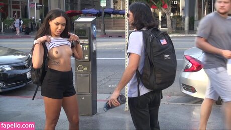 savage sash schöne galerie