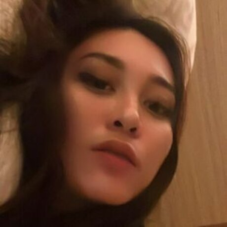 Spice Dashi schöne beste bild