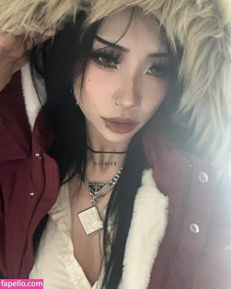 eggspringroll kostenlose kunst fotos