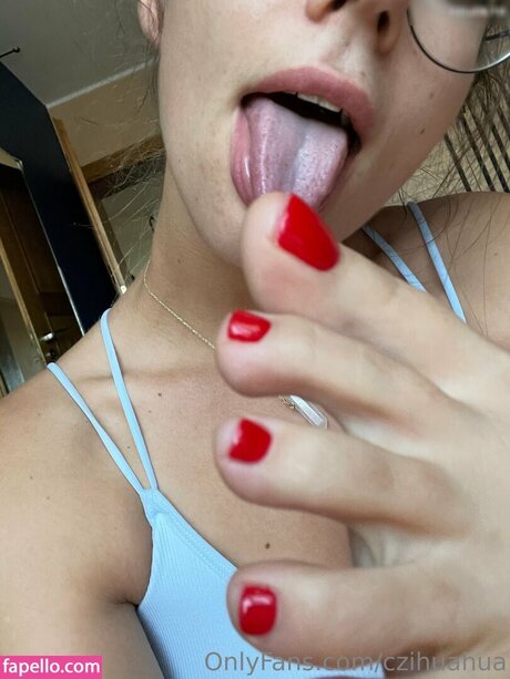 czihuahua sexy freie bilder