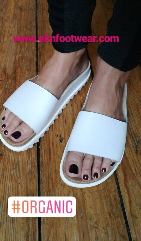 Wolke Hegenbarth Profilbild