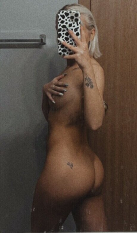 xomorarose kostenlose schöne bild