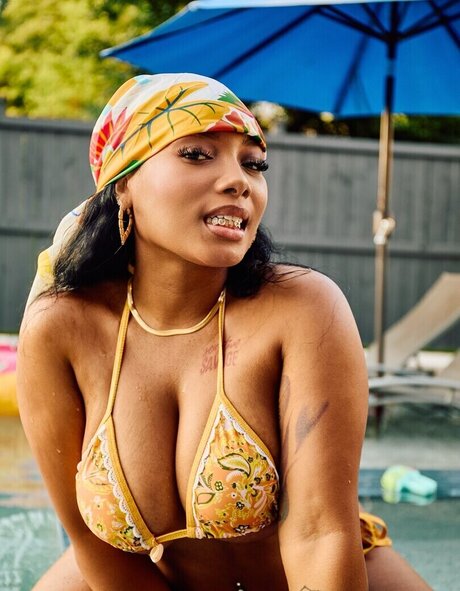 kortynie model freie archiv