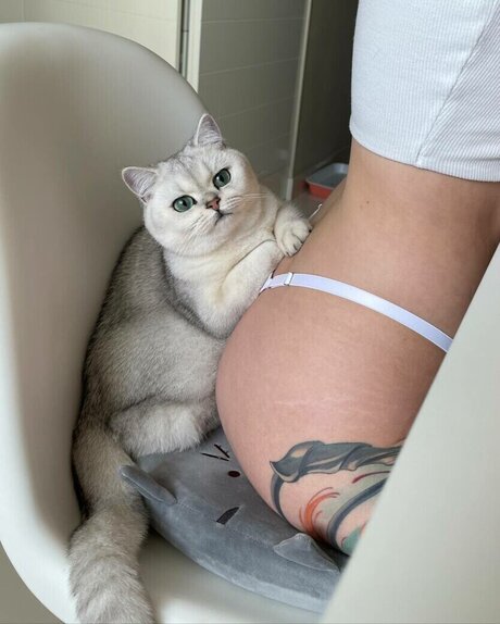 leonesan heiße schöne bilder