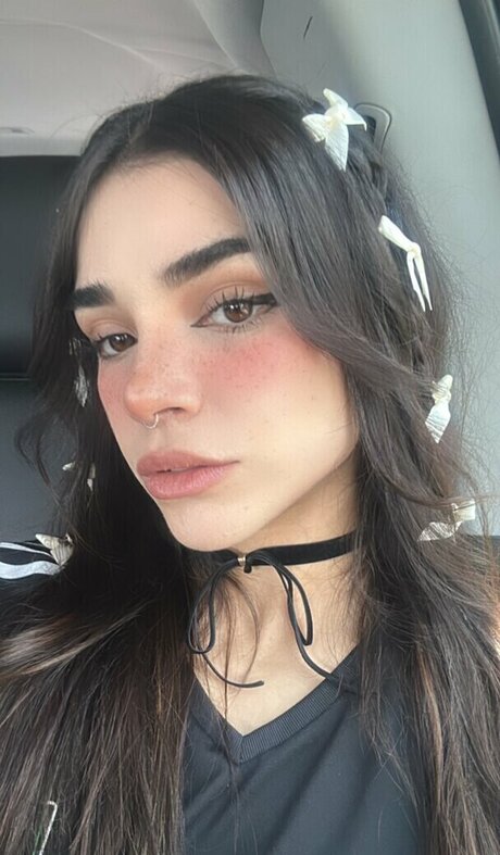 Alanalarana exklusive galerien