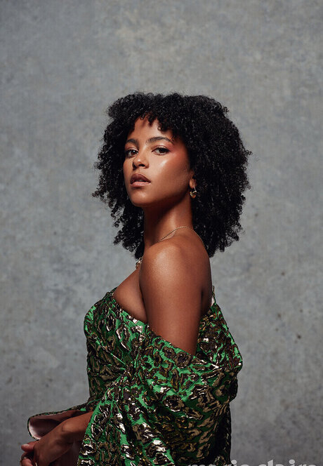 hase nur fans perfekte galerie