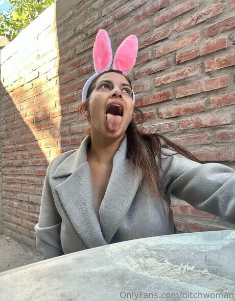 louise gestin hübsche galerie