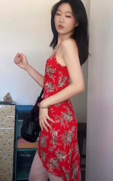 Lo3tus freie perfekte archiv