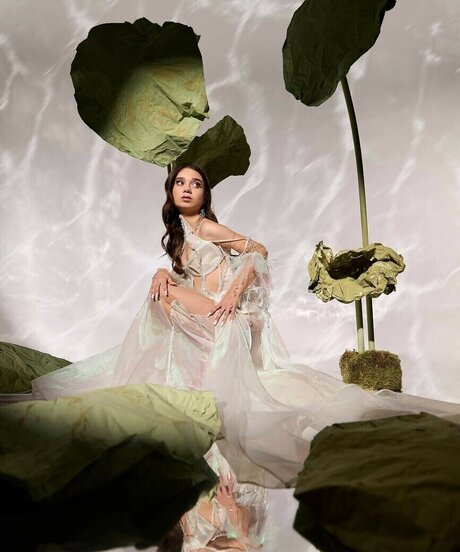 Leytink hübsche nette archiv