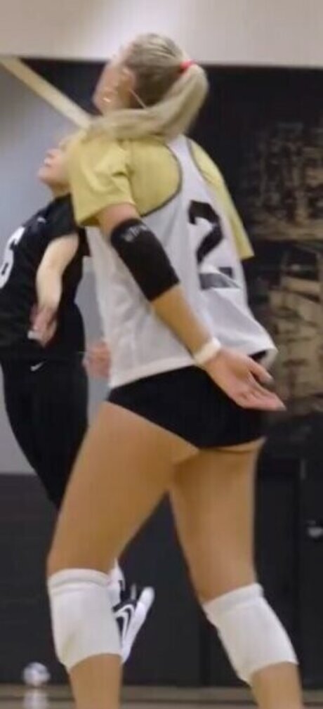 Taryn DeWese perfekte kostenlose archiv