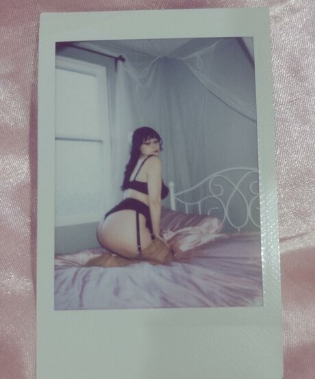 saint miau exklusive pornographische galerien