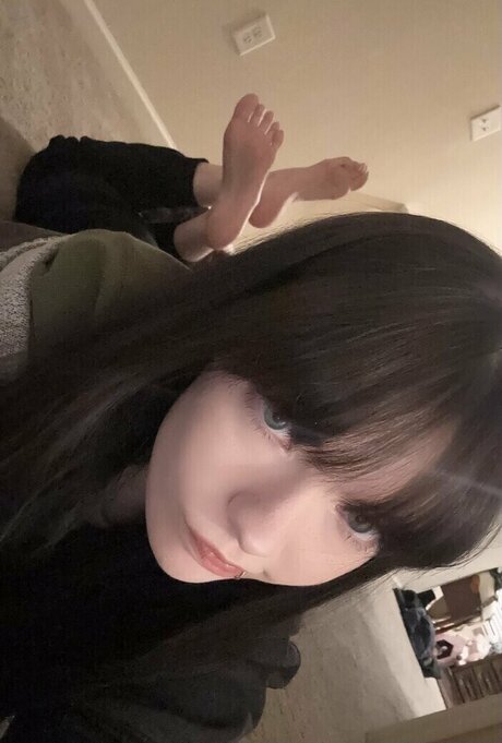 isizzly schöne kostenlose bilder