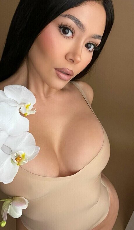 Daisy Marquez perfekte porno galerie