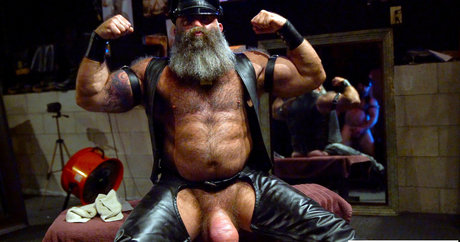 musclebulls hd porno foto