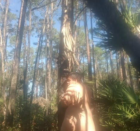 taranyiff pornographische pornostar bilder