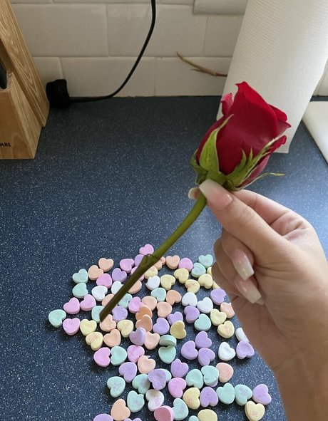 Faithmarone erwachsene hd galerie