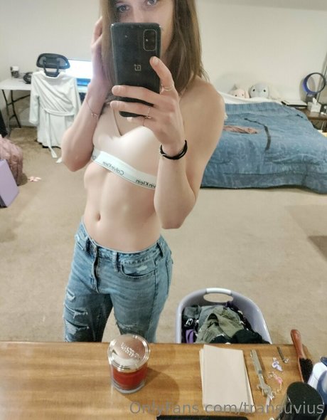 transuvius schöne pornographische bilder