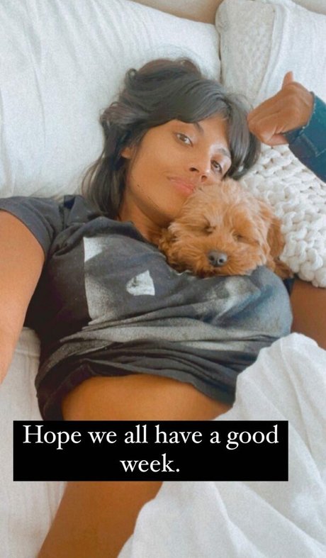 Jameela Jamil porno pornostar archiv