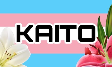 Kaito_ schöne galerie