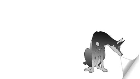 ponie_ beste nackten galerien