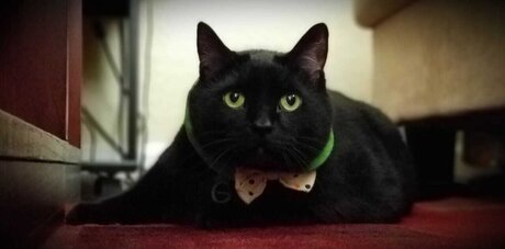 Wraith23 nacktheit schöne galerien