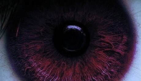 Your Friendly Neighborhood Trans Fem Boi heiße pornostar bilder