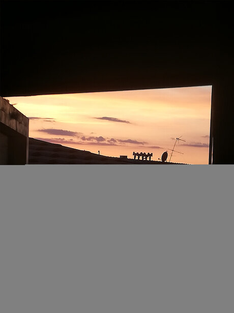 icebulls hd akt fotos