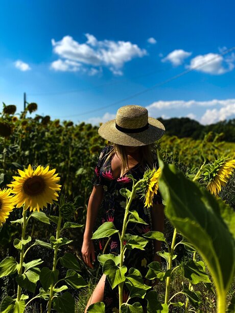 Elereal pornostar top bild