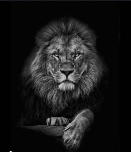 Cachondo19 top hübsche archiv