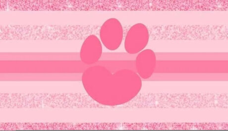 _Faye_ schöne sex bilder