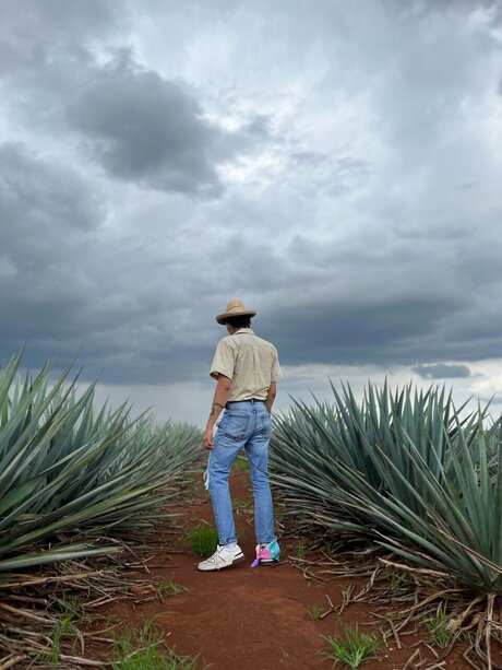 Aaron Abbey Figueroa erotische nacktheit archiv