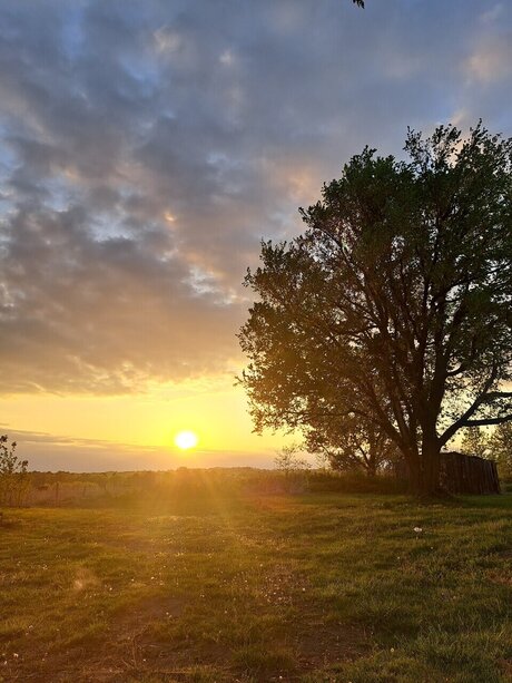 FunWFreckles hübsche foto