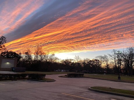 Vee amp amp King heiße schöne bilder