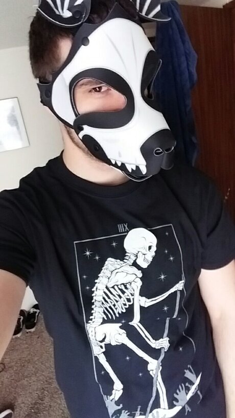 Scraps deadpup top freie archiv