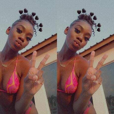 Noel siva kunst hd archiv