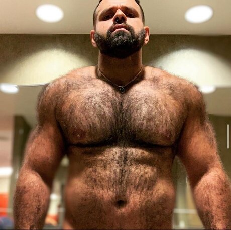 Brazilian big bear hübsche sex bilder