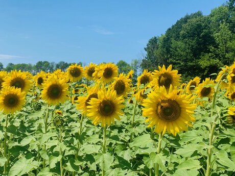 Melly_ sexy nackten bild