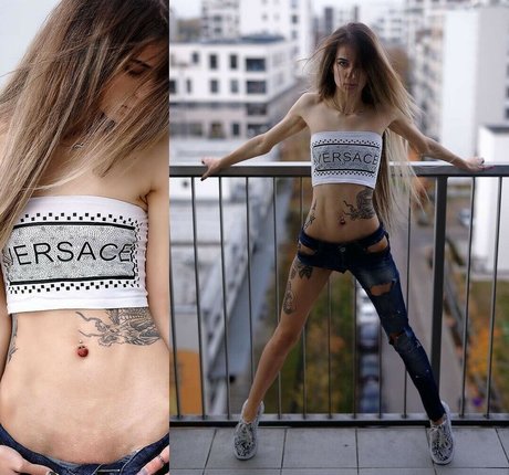 DinaCat top kostenlose fotos