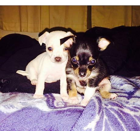 große vollbusige onlyfans perfekte kunst bild