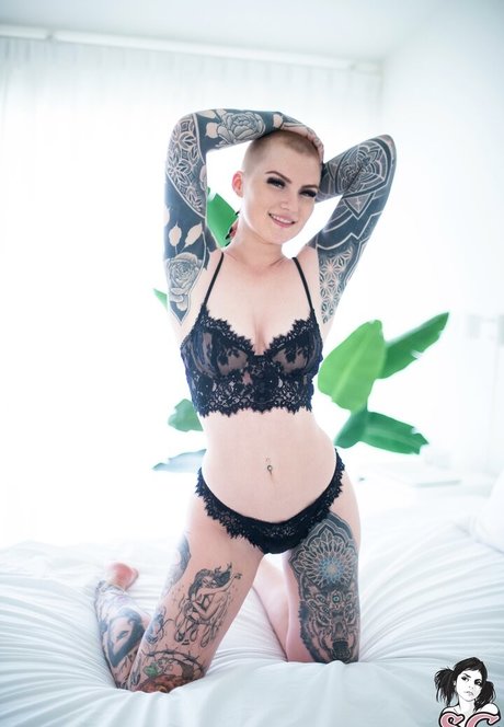 Sierhaus erwachsene nette galerie