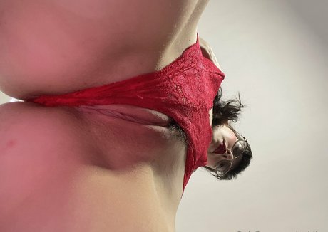 paidjoy perfekte schöne galerie