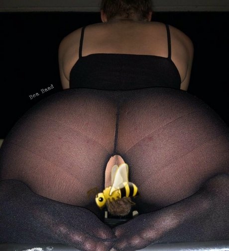 msbeabaad freie pornostar archiv