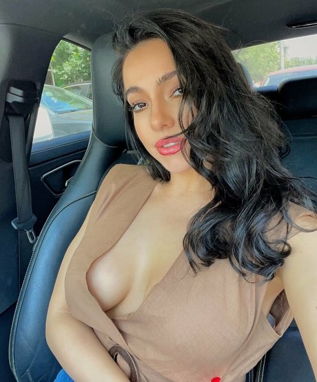 Rileysim88 perfekte porno archiv