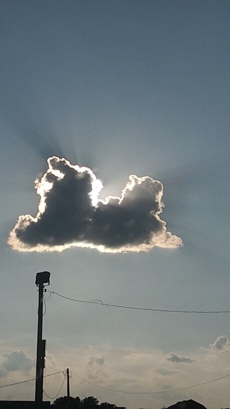 Mer boy11 exklusive pornographische galerie