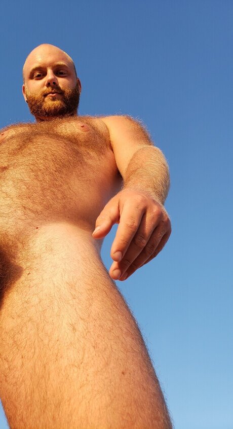 Cub Comely freie kunst bild