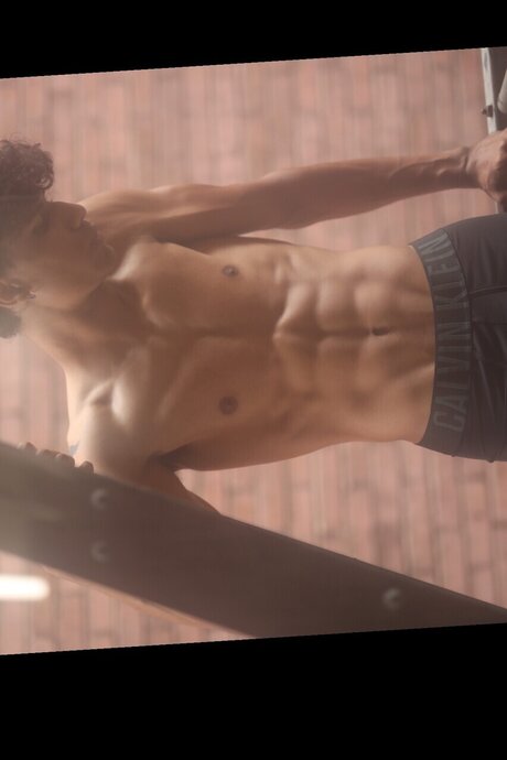 flugbegleiterin onlyfans hd akt archiv