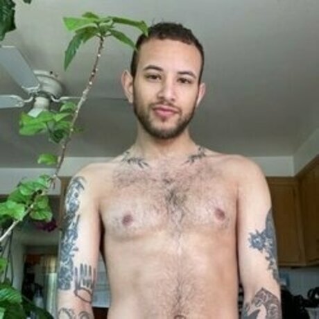 Greera08 xxx pornographische archiv