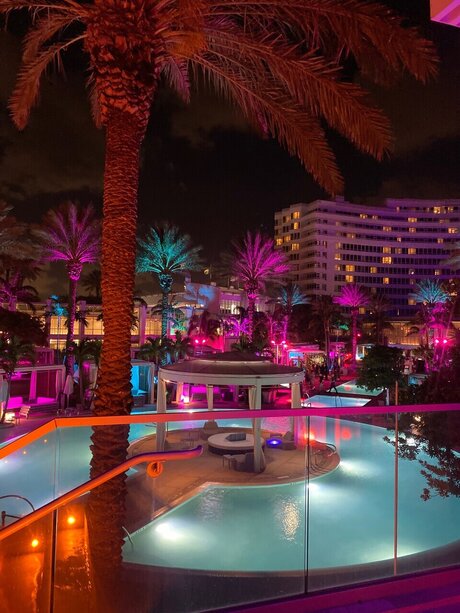 Cassandraxox kunst exklusive bild